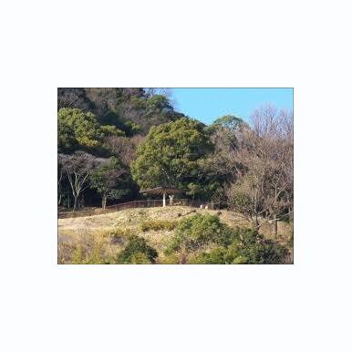 平野展望公園 距離:180m