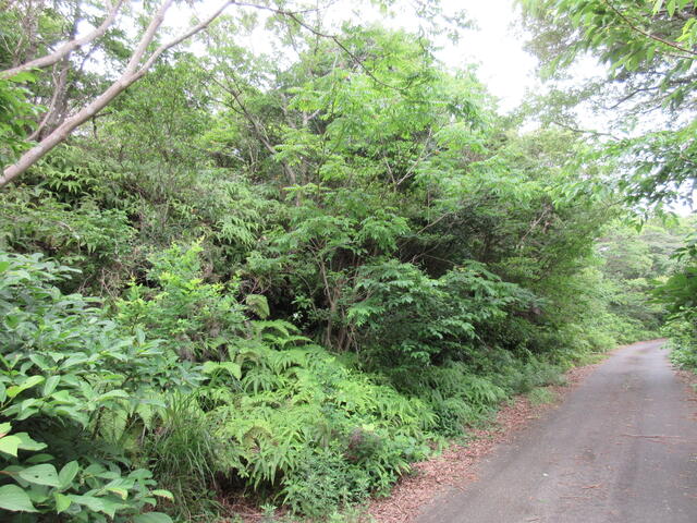 アットホーム 掛川市 山崎 袋井駅 その他用地 掛川市の土地 売地 宅地 分譲地など土地の購入情報