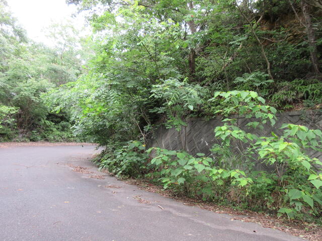 アットホーム 掛川市 山崎 袋井駅 その他用地 掛川市の土地 売地 宅地 分譲地など土地の購入情報