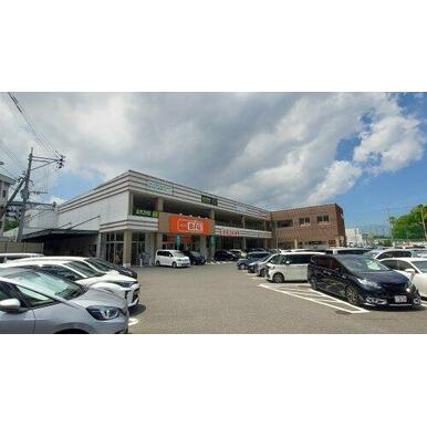 ザ・ビッグ小倉原町店 距離：351m