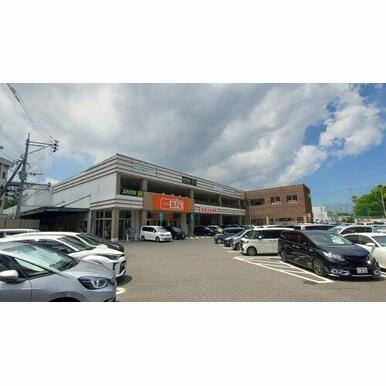 ザ・ビッグ小倉原町店 距離:351m