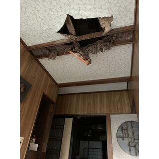 townhouse 魚津市諏訪町