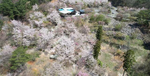Cheap house for sale in Adachi, Fukushima