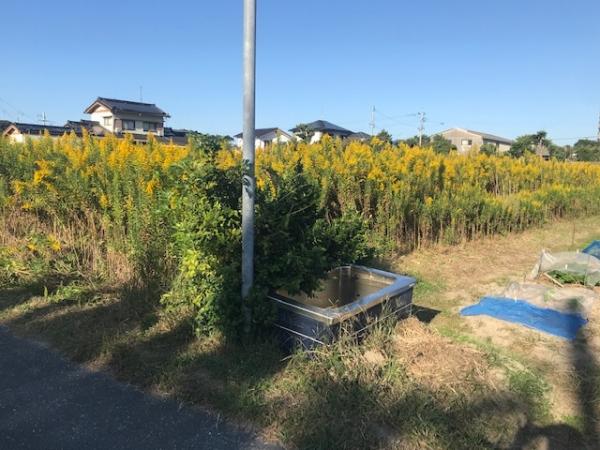 アットホーム 糸島市 二丈福井 大入駅 住宅用地 糸島市の土地 売地 宅地 分譲地など土地の購入情報