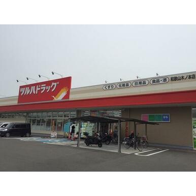 ツルハドラッグ和歌山木ノ本店 距離:702m