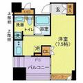 港区 芝浦１丁目（浜松町駅） 10階 ワンルームの間取り図