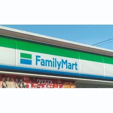 ファミリーマート館山中央店 距離:710m