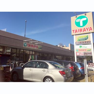 TAIRAYA小平店 距離:672m
