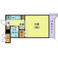狛江市 東和泉１丁目（狛江駅） 2階 １Kの間取り図