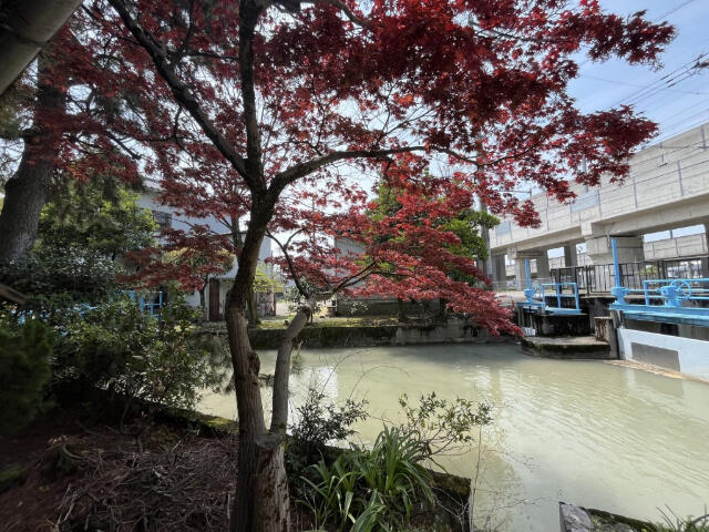 detached 白山市成町