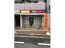 写真：