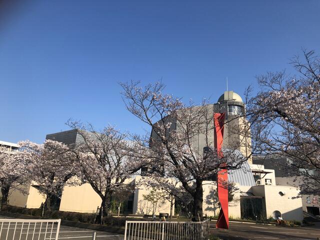 アットホーム ｓｃｈｏｎ８８ 3 １ｋ 提供元 センチュリーハウジング 株 伊勢原市の賃貸アパート