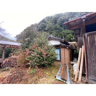 detached 阿南市新野町喜来
