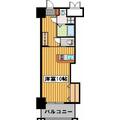 ロイヤル渡辺通Ⅱ 12階 ワンルームの間取り図