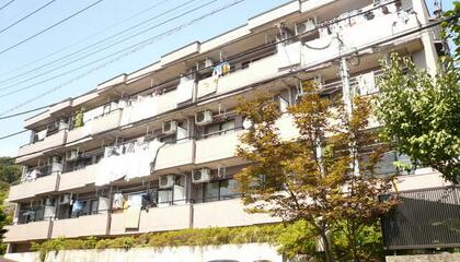 町田市真光寺でペット可 ペット相談可の賃貸物件一覧 アットホーム 賃貸マンション アパート 貸家