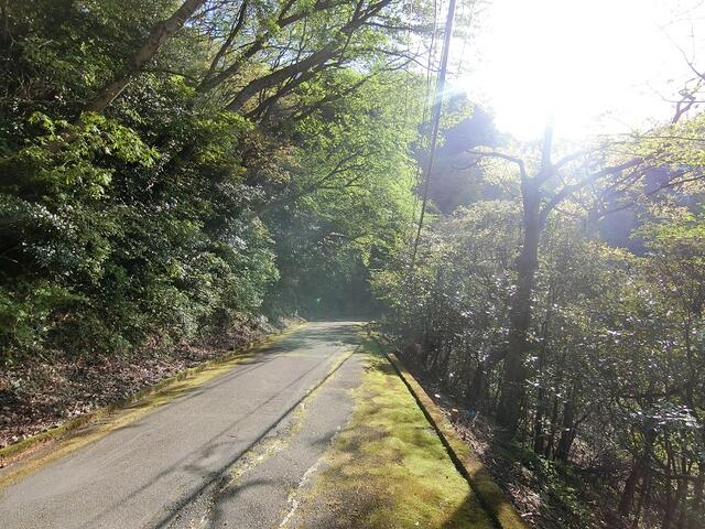 アットホーム 賀茂郡東伊豆町 白田 片瀬白田駅 住宅用地 賀茂郡東伊豆町の土地 売地 宅地 分譲地など土地の購入情報