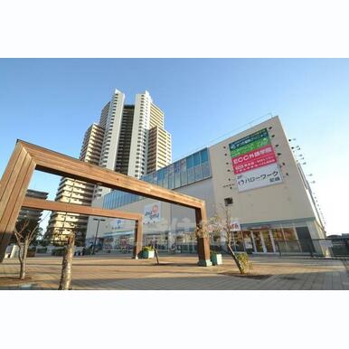 アマゴッタ 距離:586m