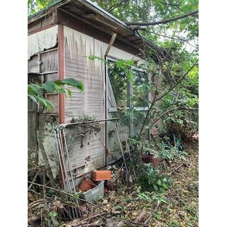 detached 阿波市土成町宮川内字楠木