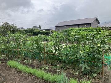 アットホーム】鹿屋市 田淵町（志布志駅） 住宅用地[6992242599]鹿屋市