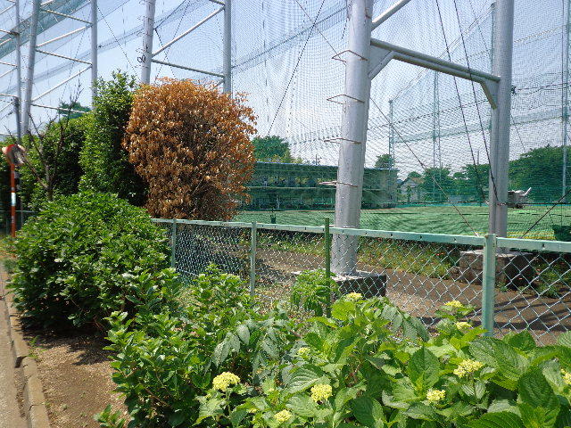 東京都 世田谷区 北烏山８丁目 千歳烏山駅 の月極駐車場 賃貸駐車場 賃貸 不動産情報はアットホーム