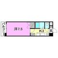 ジョイフル第１小坂 ５０２ １Kの間取り図