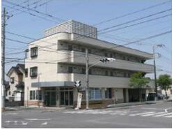 写真：