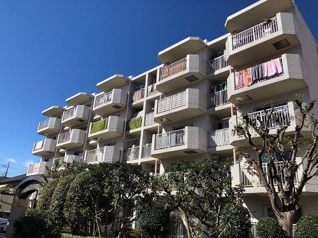 アットホーム ドミール上板橋 5階 ３ｌｄｋ 1003937638 板橋区の中古マンション マンション購入の情報