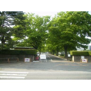 東洋大学川越キャンパス 距離：1,200m