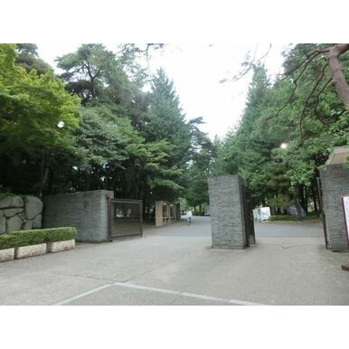 一橋大学国立キャンパス 距離:1,900m