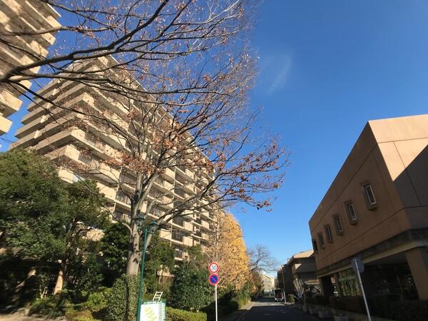 天気 予報 港北 区 一番当たる 福岡市東区の最新天気 1時間 今日明日 週間 Amp Petmd Com 天気 予報 港北 区 一番当たる 福岡市東区の最新天気 1時間 今日明日 週間 Amp Petmd Com