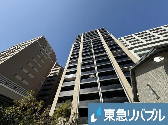 s*l様 巨大天門ペテンシー付き 51juCQGPbZL.jpg_BO30,255,255,