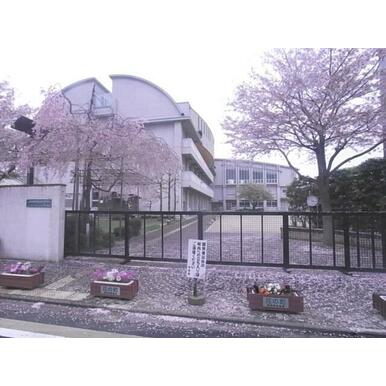 南大内小学校 距離:250m