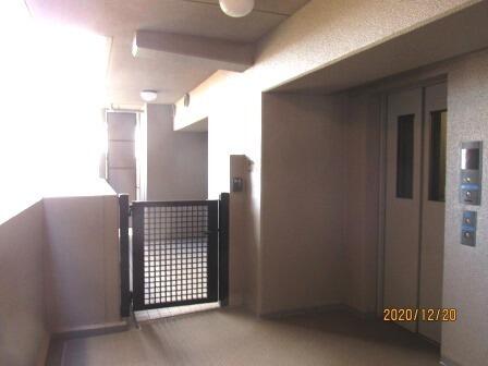 ルネ神戸宮川町さくら坂 １日中明るい上層階東南角 ８０９ ４ｌｄｋ 神戸市長田区の中古マンション アットホーム マンション購入の情報