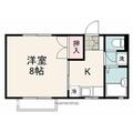 セイントプレイス ２０５ １Kの間取り図