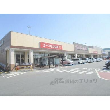 コープ　ながはま店 距離：600m