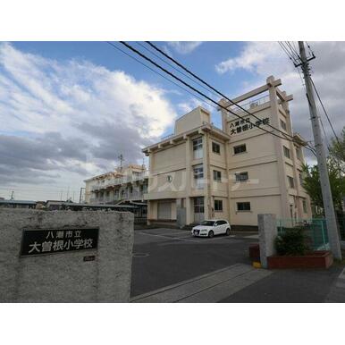 八潮市立大曽根小学校 距離：20m