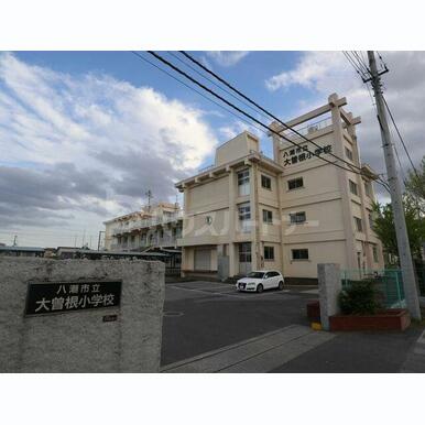 八潮市立大曽根小学校 距離:20m