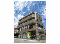 写真：