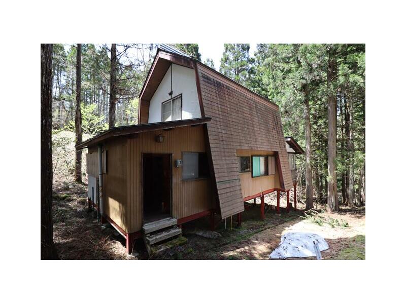 December 1956 (69 years and 3 months old)