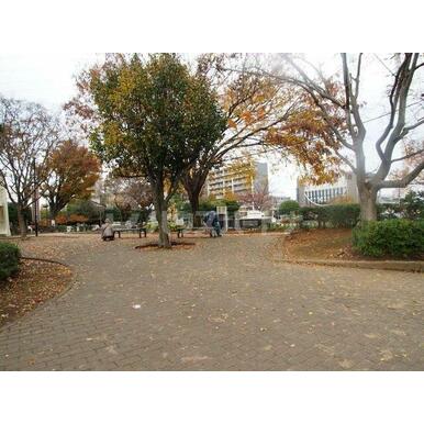天沼弁天池公園 距離：810m