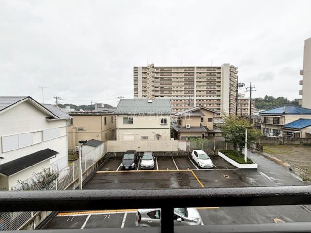 Amazon.co.jp: 人にはどれだけの土地がいるか : 柳川 茂, 小林