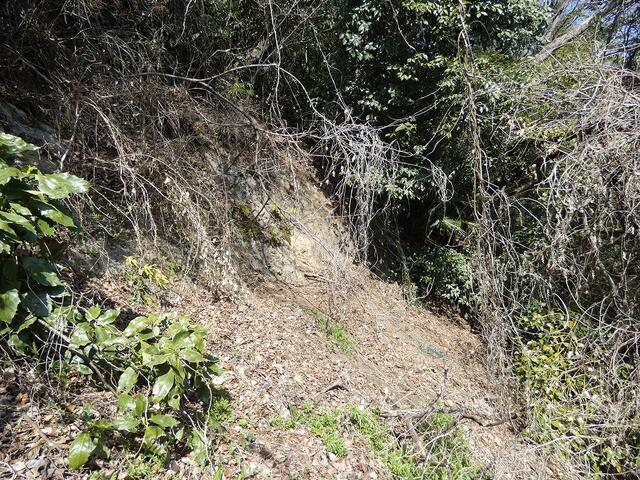 Maekawa, Odawara City (near Kōzu Station) and other land. &mdash; photo 5