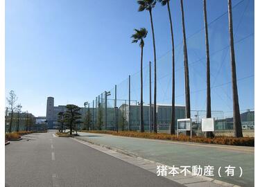 アットホーム 野々瀬駐車場 提供元 猪本不動産 有 徳島市の貸駐車場