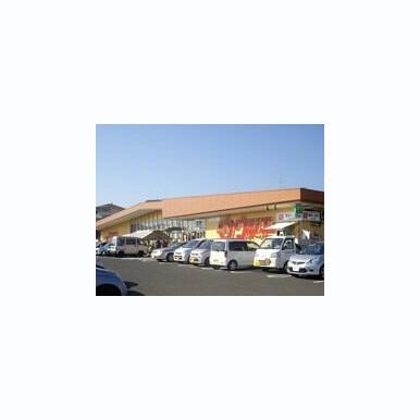 ウジエスーパー塩釜店 距離:1,264m