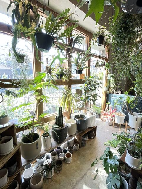 アットホーム 遊園不動産 株 ｇａｔｈｅｒｉｎｇ ｇｒｅｅｎ ｐｌａｎｔｓ ｓｈｏｐ 神奈川県 川崎市多摩区 アットホーム加盟店