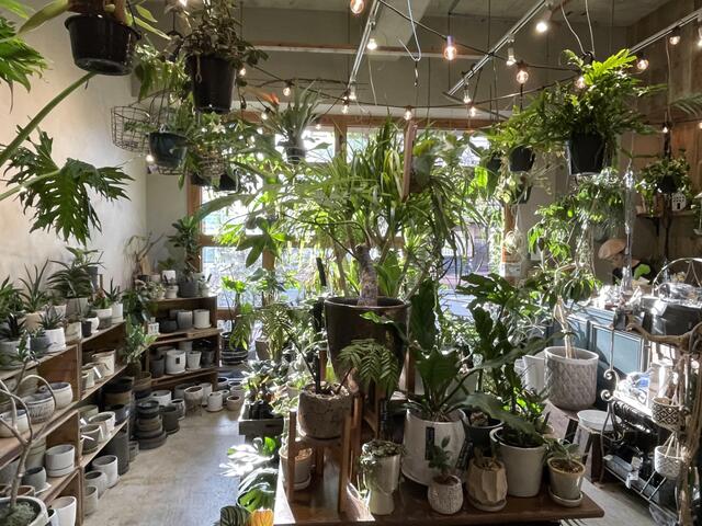 アットホーム 遊園不動産 株 ｇａｔｈｅｒｉｎｇ ｇｒｅｅｎ ｐｌａｎｔｓ ｓｈｏｐ 神奈川県 川崎市多摩区 アットホーム加盟店