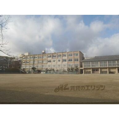 松陽小学校 距離:430m