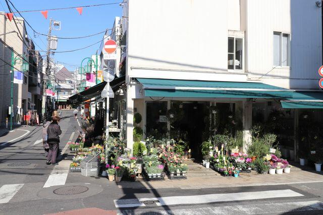 Z7tkowif 6sfom Z7tkowif 6sfom