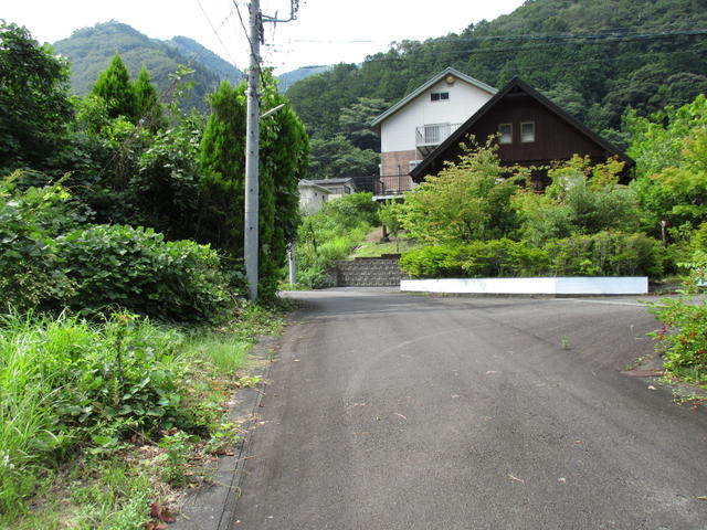 川根茶〔川根町笹間上〕在庫一掃販売2.7キロ分 （銘茶川根茶