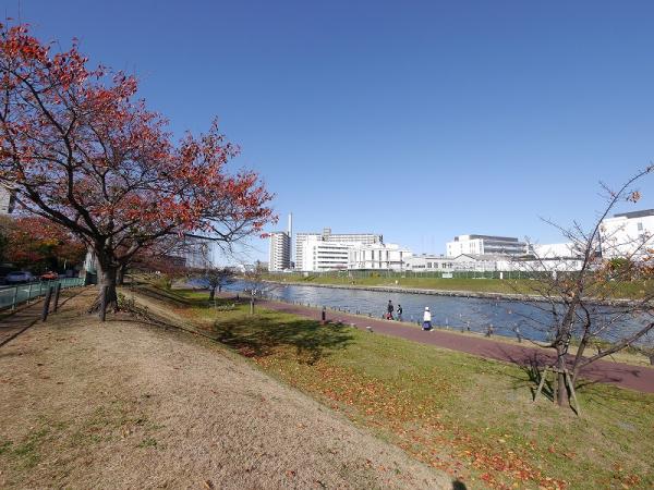 アットホーム 墨田区 立花６丁目 東あずま駅 3階建 ３ｓｌｄｋ 墨田区の新築一戸建て 提供元 株 ハウスプラザ 錦糸町店 一軒家 家の購入